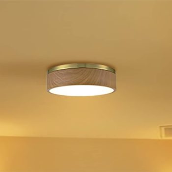 Modern Brass LED Flush Mount Ceiling Light Wood Grain Round Light 2 1